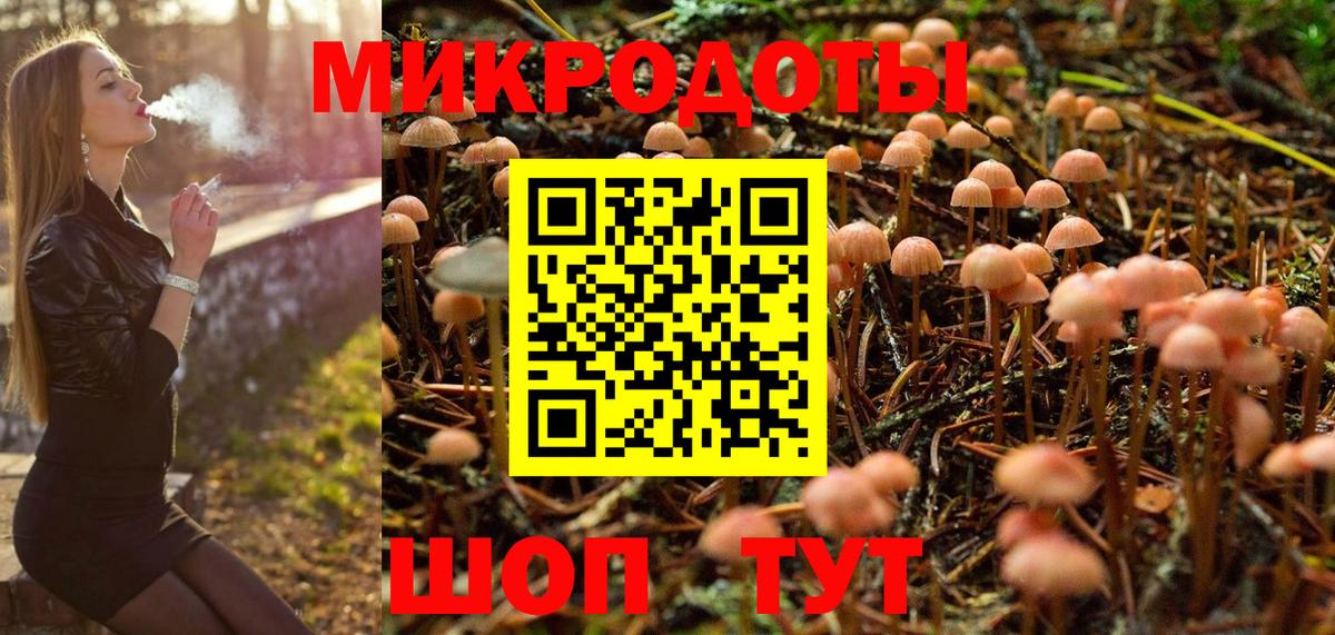 Корсаков  Псилоцибиновые грибы ЛСД  Вход с VPN  Галлюциногенные грибы Psilocybine cubensis 