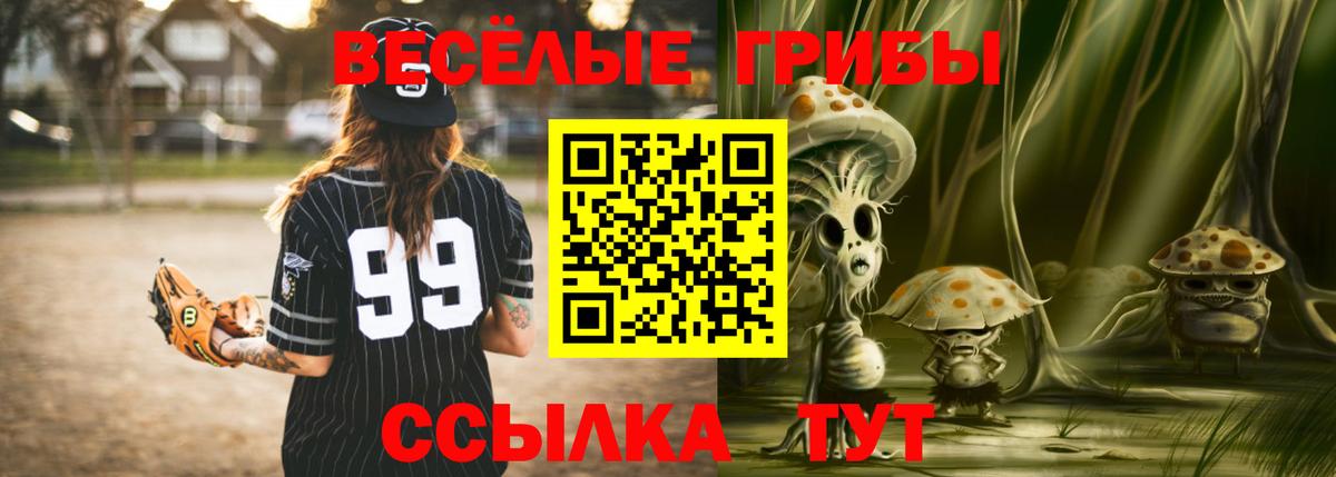 Псилоцибиновые грибы Cubensis Корсаков